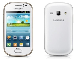 Samsung Galaxy Fame Lite Duos S6792L