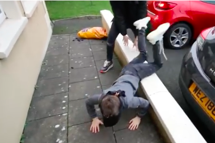 ”Bird Box Challenge”, or the Darwin Award goes to...