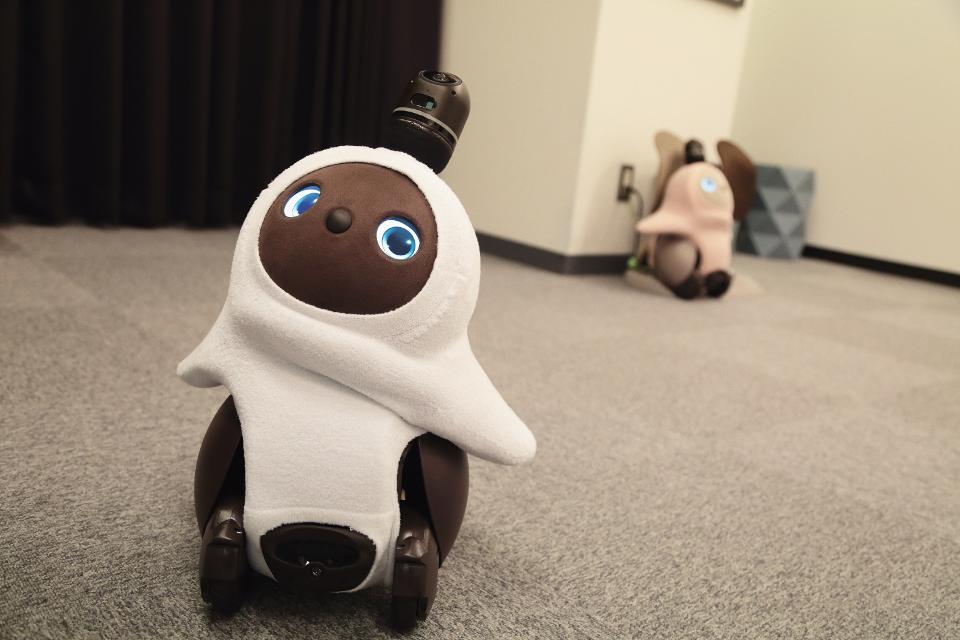 LOVOT, a Japanese robot made to be loved
