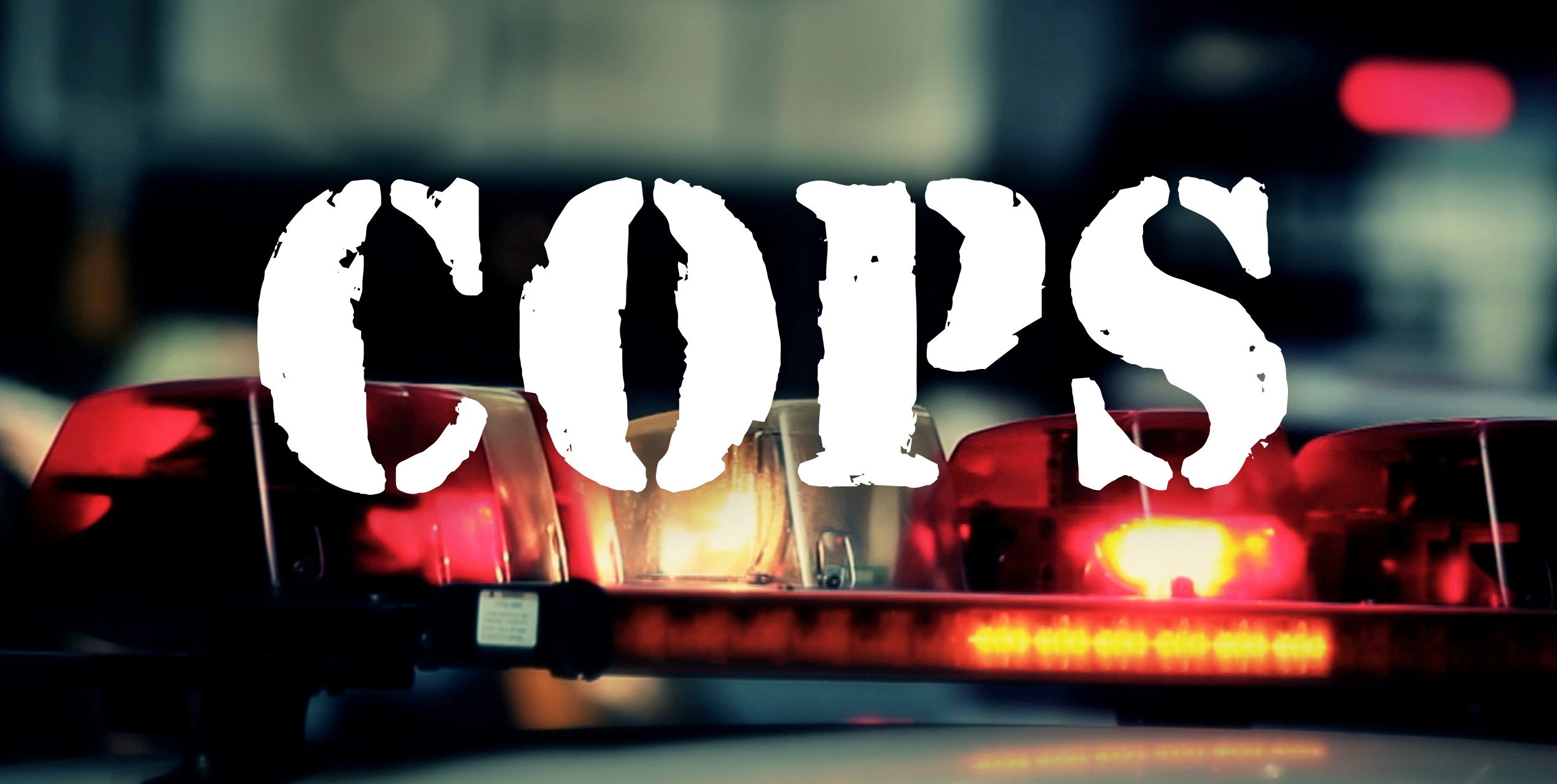 33rd season of american reality show COPS cancelled over protests against police brutality
