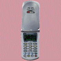 Motorola P8767