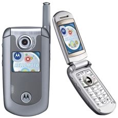 Motorola E815