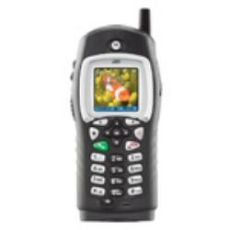 Motorola i355