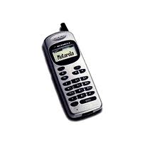 Motorola D368