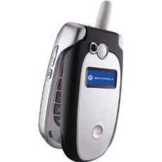 Motorola V557p