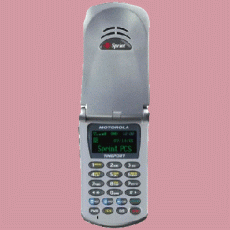 Motorola P8767 Timeport