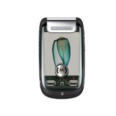 Motorola Ming