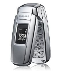 Samsung X308
