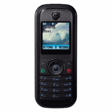 Motorola W205