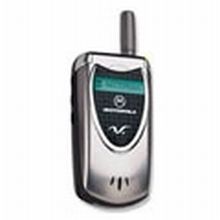 Motorola 60c