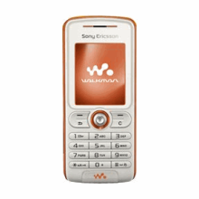 Sony-Ericsson W200