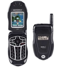 Motorola Buzz