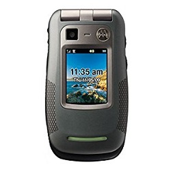 Unlock phone Motorola Quantico Available products