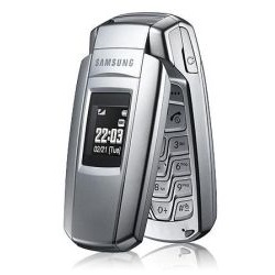 Unlocking by code Samsung X300